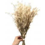 Ozdobná sušená travina peří přírodní béžová/péřová tráva svazek – Zboží Dáma