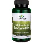 Swanson Full Spectrum Boswellia Double Strength 800 mg 60 kapslí – Hledejceny.cz