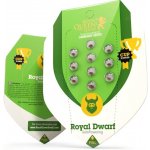 Royal Queen Seeds Royal Dwarf AUTO semena neobsahuji THC 1 ks – Zboží Dáma