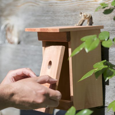 Windhager AT Budka pro ptáky Birdy – Hledejceny.cz