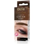 Delia Color Cream barva na obočí hnědá 30 ml – Zboží Dáma