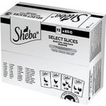 Sheba krmivo mokré mix chutí 6 kg – Zboží Dáma