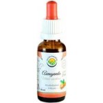 Salvia Paradise Ašvaganda, Ashwagandha Bio, Vitánie snodárná AF tinktura 50 ml – Hledejceny.cz