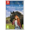 Hra na Nintendo Switch Windstorm: Start of a Great Friendship