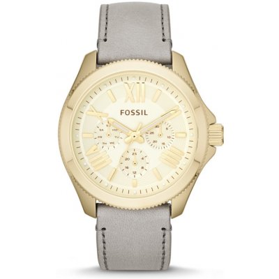 Fossil AM4529