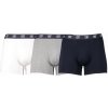 Boxerky, trenky, slipy, tanga CR7 basic boxerky unwear brief 3er pack 8100-49-2701