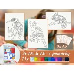 Radost v písku Základní sada ZVÍŘÁTKA 5 Barevné pískování obrázků – Sleviste.cz
