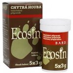 Ecosin Chytrá houba 3 x 3 g – Zboží Dáma