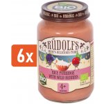 Rudolfs BIO Rýžová kaše s lesními plody 190 g – Zboží Dáma