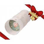 Taf Toys Prolézací tunel Glow & Crawl – Zbozi.Blesk.cz