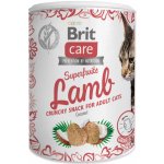 Brit Care Cat Snack Superfruits Lamb with Coconut 100 g – Hledejceny.cz