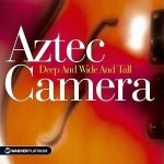 Aztec Camera - Deep and wide and tall/platinu CD – Hledejceny.cz