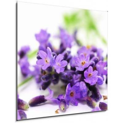 Obraz 1D - 50 x 50 cm - Aroma, Lavendel Aroma, levandule – Zbozi.Blesk.cz