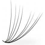 Luxury Lashes 8D Řasy Premium sypané v Hotovém Vějířku - 1 000 Ks Zakřivení umělých řas: D, Délka umělých řas: 11 mm, Tloušťka řas: 005 – Zboží Dáma