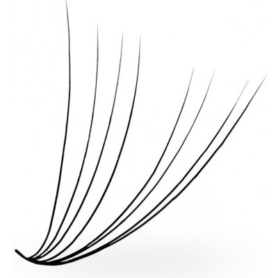 Luxury Lashes 8D Řasy Premium sypané v Hotovém Vějířku - 1 000 Ks Zakřivení umělých řas: D, Délka umělých řas: 11 mm, Tloušťka řas: 005 – Zboží Dáma