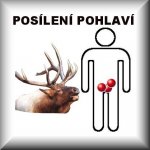 Fyrosan Kotvičník + Maca 80 tablet – Hledejceny.cz