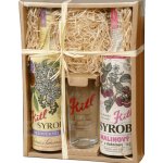 Kitl Syrob se sklenicí Bez a Malina 2 x 0,5 l – Zboží Mobilmania