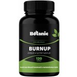 Botanic BurnUp 140 kapslí – Zbozi.Blesk.cz