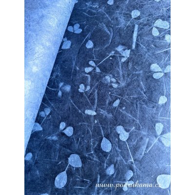 Olino Paperworks Int BV Nepálský ruční papír Lokta - solarprint jetel Velikost: arch 75x50 cm – Hledejceny.cz