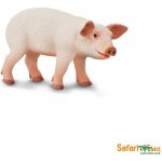 Safari Ltd. Sele – Hledejceny.cz