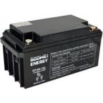 Goowei Energy OTL65-12 65Ah 12V – Hledejceny.cz