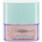 L'Oréal Paris True Match Minerals 1,R 1,C Rose Ivory 10 g – Zboží Mobilmania