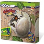 SES Líhnutí dinosaura – Zboží Dáma