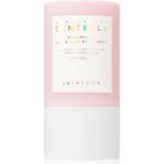 Skin1004 Madagascar Centella Poremizing Quick Clay Stick Mask 27 g – Zboží Dáma