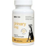 LAB-V Urinary Dog Podpora při infekcích močových cest u psů 45 kapslí – Hledejceny.cz