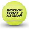 Tenisový míček Dunlop Fort All Court TS 4ks