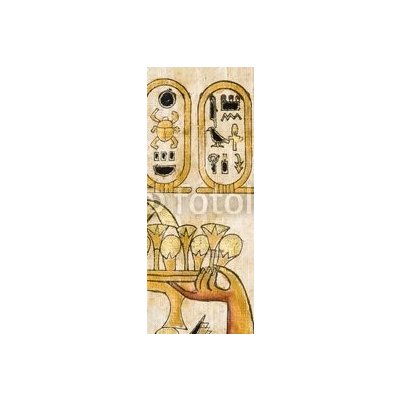 WEBLUX 5136970 Samolepka na lednici fólie Fragment of Egyptian papyrus Fragment egyptského papyru rozměry 80 x 200 cm – Hledejceny.cz