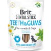 Pamlsek pro psa 51 Brit Dog Dental Stick Teeth & Gums with Chamomile & Sage 7 pcs 2 g