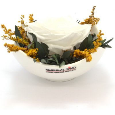 Tera White - bílá (Aranž 1x stabilizovaná "věčná" růže v keramické misce) – Zboží Mobilmania