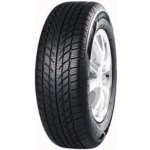 Goodride SW608 225/55 R16 99H – Hledejceny.cz