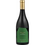 Vassaltis Alcyone Cuvee Mythologique 2022 Bílé 14% 0,75 l (holá láhev) – Hledejceny.cz