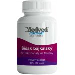 Medveď natural Šišák bajkalský 30 kapslí – Hledejceny.cz