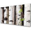 Obraz akrylový obraz Stromy Příroda 100x50 cm
