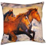 Dadka Polštář tři koně Fotopolštář Tři koně 40x40 – Hledejceny.cz