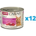 Carny Adult masový koktejl 12 x 200 g – Hledejceny.cz