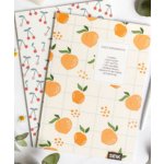 Zápisníky Daily affirmation & Life is sweet (2 ks) – Hledejceny.cz