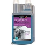 Horse Master Equisport Electrolyte 5 l – Sleviste.cz