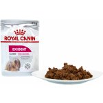 Royal Canin Exigent Dog Loaf 12 x 85 g – Zboží Mobilmania