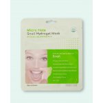 Beauugreen Micro Hole Hydrogel Mask Snail 30 g – Hledejceny.cz