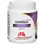 Coprinus Comatus extrakt z hnojníku obecného 90 kapslí – Hledejceny.cz