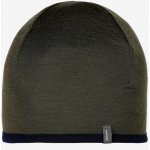 Icebreaker Merino 200 Oasis Reversible Beanie dk loden/midnight navy – Hledejceny.cz