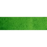 ShinHan Akvarelová barva PWC 15 ml Permanent Green No.1 566 – Hledejceny.cz