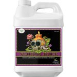 Advanced Nutrients Voodoo Juice 500 ml – Hledejceny.cz