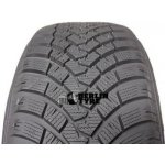 Falken Eurowinter HS01 205/55 R17 91H – Hledejceny.cz