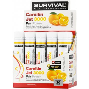 Survival Carnitin JET 3000 fair 500 ml