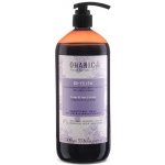 Ohanic No-Yellow Shampoo 1000 ml – Zboží Dáma